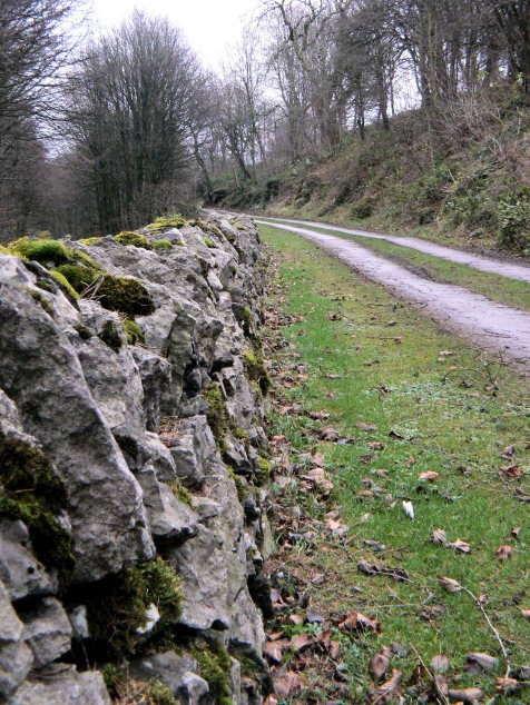 Kenslow Wood Kenslow Wood